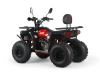 Комплект для сборки Подростковый бензиновый квадроцикл RZmoto Cross 150